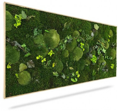 Machový obraz RASTLINY Mesia, 100x50cm, drevený čierny rám