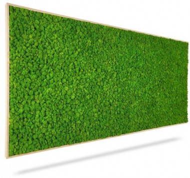 Machový obraz LIŠAJNÍK mono GREEN, 140x60cm, drevený biely rám