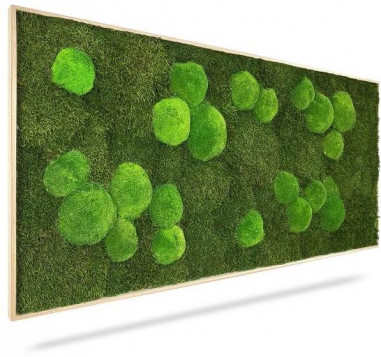 Machový obraz Light Green, 80x40cm, drevený svetlohnedý rám