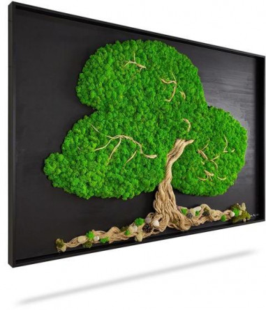 Machový obraz STROM ARLES, 120x60cm, drevený čierny rám