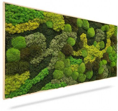 Machový obraz ORTHO TELDE, 100x60cm, drevený biely rám