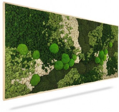 Machový obraz ORTHO FOREST, 40x40cm, drevený čierny rám