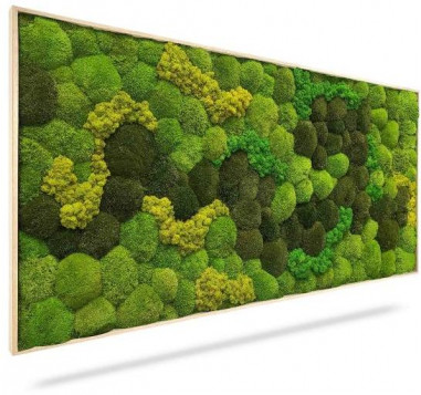 Machový obraz Light Anento, 120x60cm, drevený svetlohnedý rám
